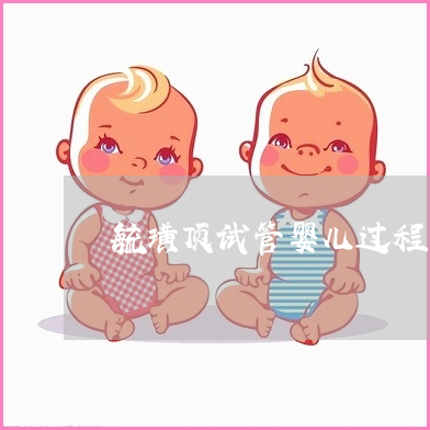 供卵试管婴儿移植26天多少周-囊胚移植26天是怀孕多少周