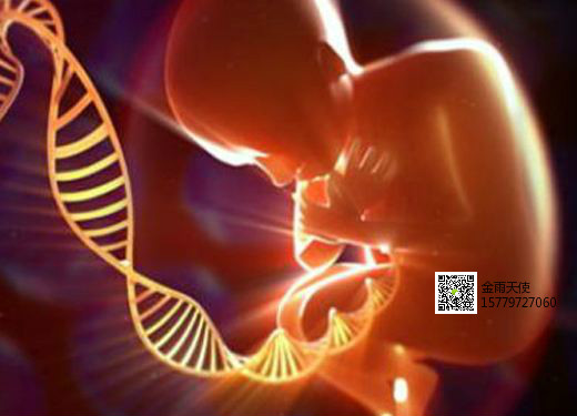 用新鲜精子还是冷冻精子做供卵试管自怀治疗比较好？