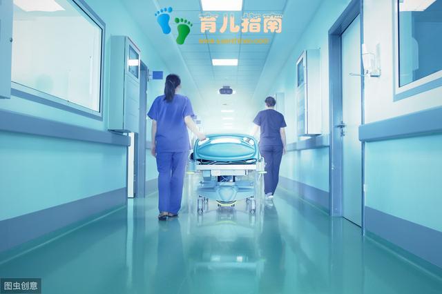 试管代怀补偿费用前的准备和价钱!详扒试管代怀筛选性别的钱花到哪里!