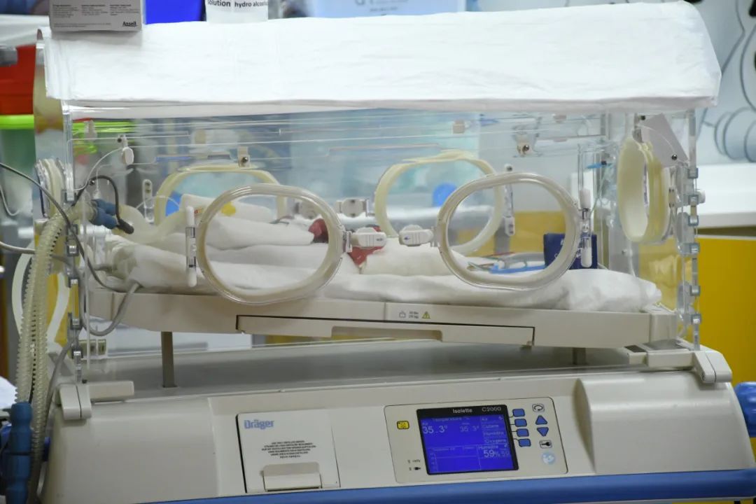 男男可以试管生属于自己的孩子吗