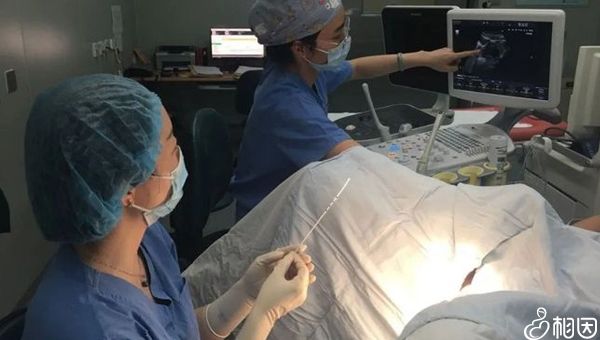 不孕代怀求子怀孕后可以吃香梨吗,还需要吃够哪些才好